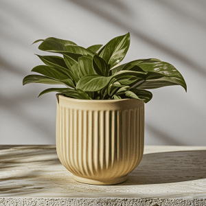 Flower Pot